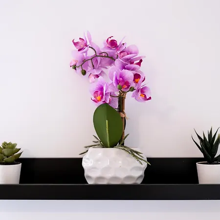 Soho Downtown Budapest