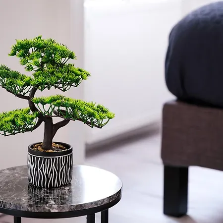 Appartamento Soho Downtown Budapest